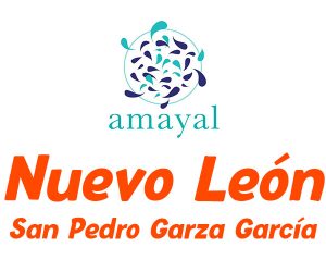 centro-amayal-logo-san-pedro-garza-garcia