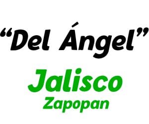 del-angel-logo-zapopan-jalisco