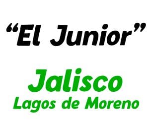 el-junior-logo-lagos-de-moreno-jalisco