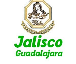 ely-vida-logo-guadalajara-jalisco