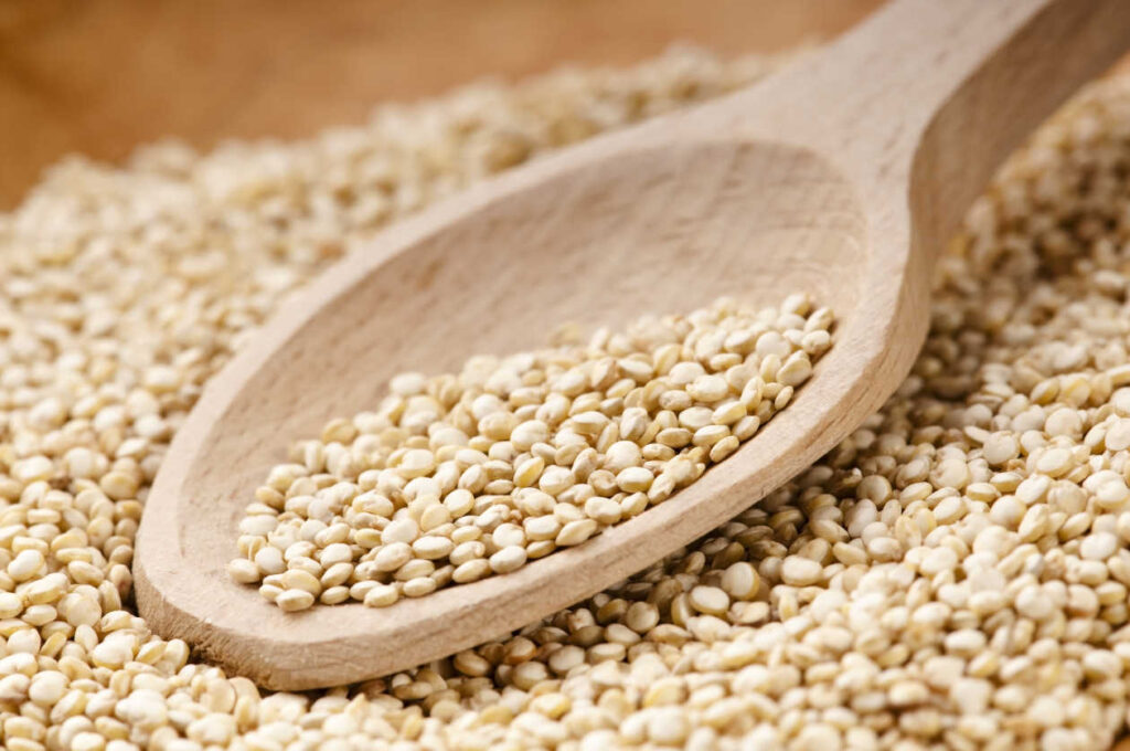 Que es la quinoa proteina o carbohidrato