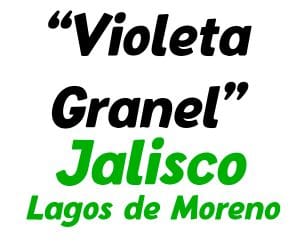 violeta-granel-logo-lagos de moreno-jalisco
