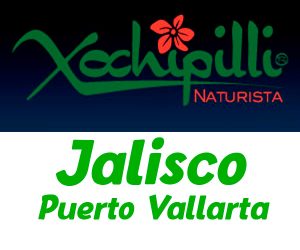 xochipilli-logo-puerto-vallarta